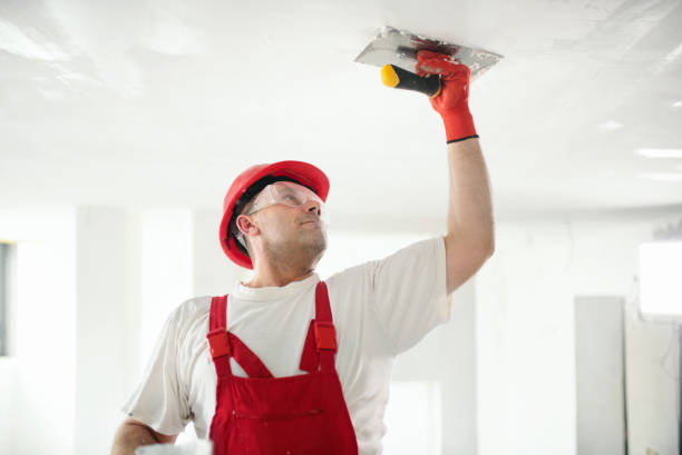 Best Mold-Related Health Consultation  in Contoocook, NH