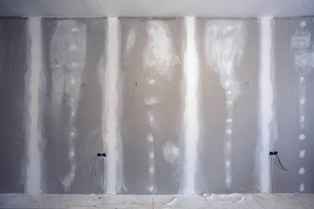 Best Mold Removal for HVAC Installations  in Contoocook, NH